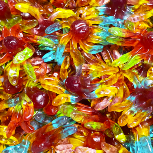 Gummi Octopus