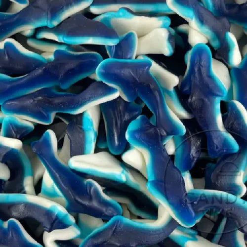 USA - Sharks