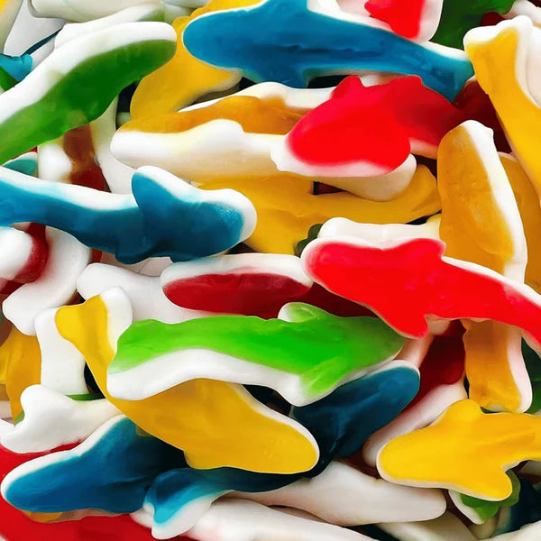 USA - Assorted Sharks